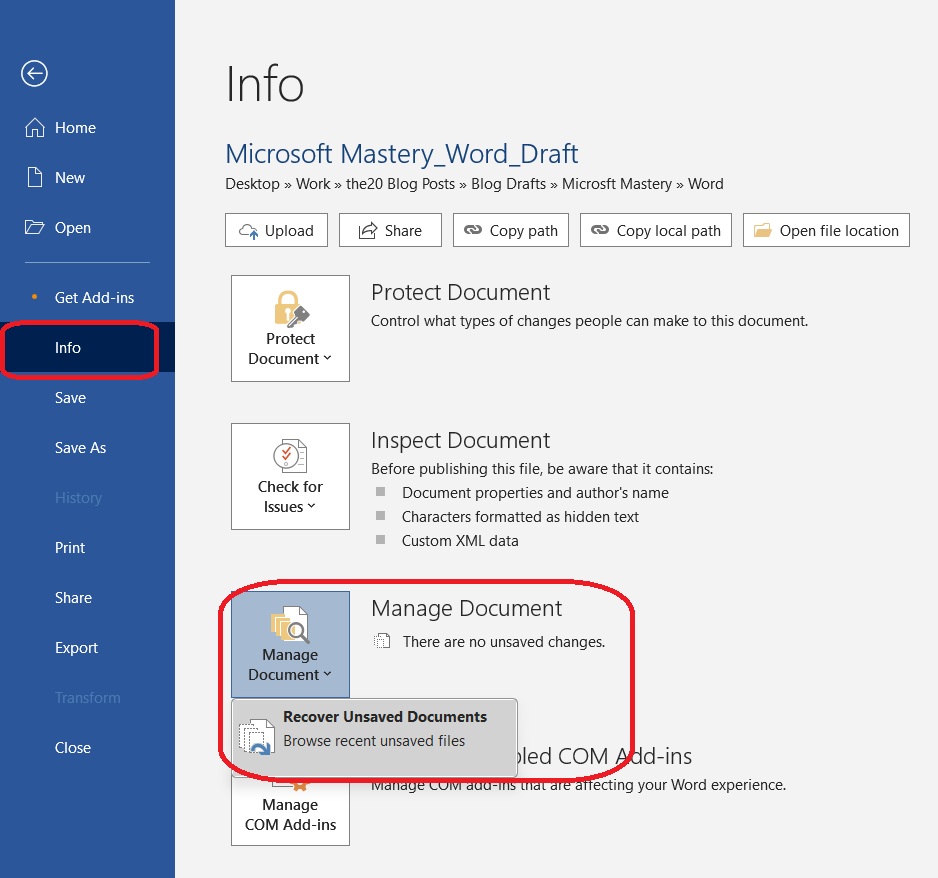 microsoft word mastery